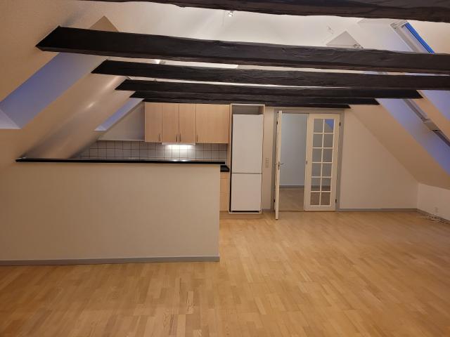 119 m2 Lejlighed udlejes