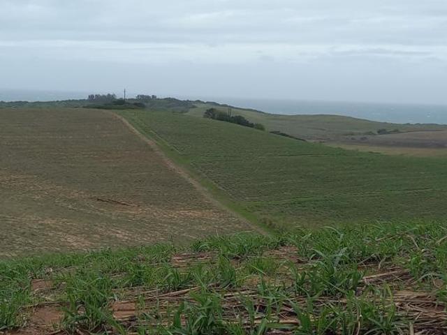 119 m² Land available in Tinley Manor