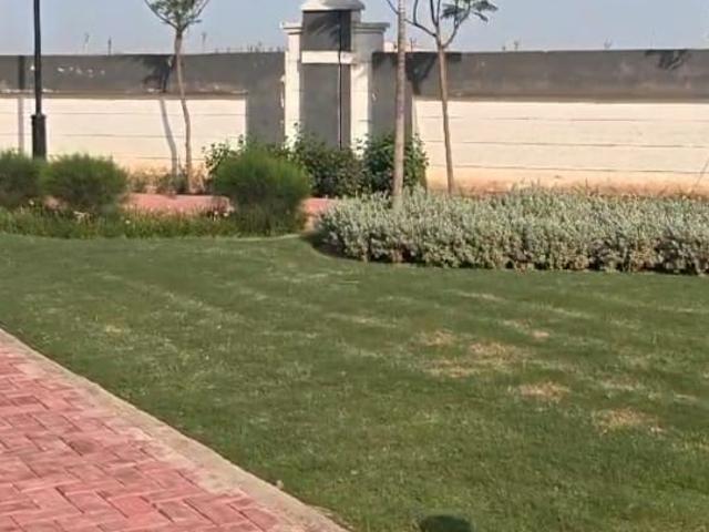 119 Sq.Yd. Plot in Panchkula Urban Estate Panchkula Listing ID: #10056