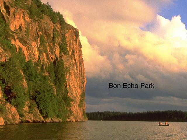 11.96 Acres For Sale Near Bon Echo Park