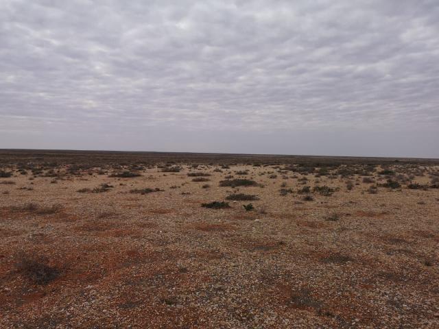 11,018Ha Farm For Sale in Kenhardt