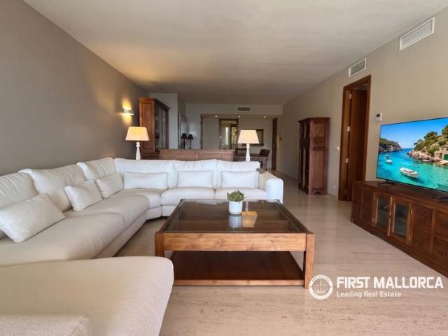 11 Av. Joan Miró, Calvià, Balearic Islands 07470