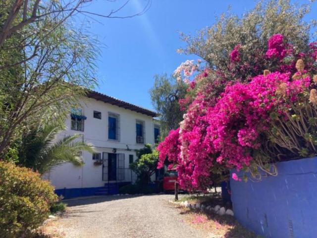 11 Dormitorio Casa Alora Malaga LS99035312