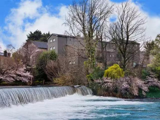 11 Errigal House, Eglinton Court, Donnybrook, Dublin 4, D04 WR02