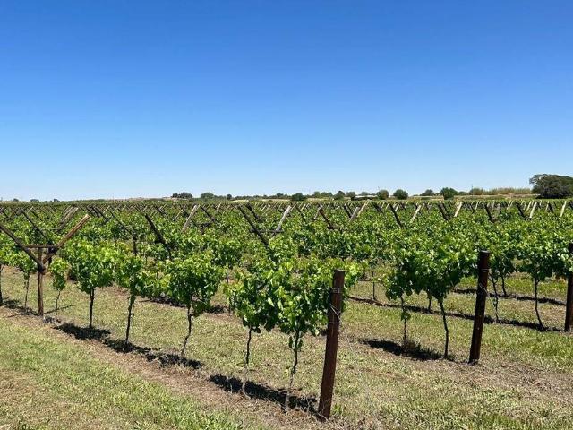 11 ha Farm in Louisvale