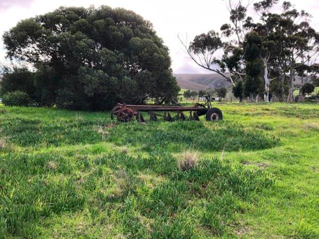 11 ha Land available in Baardskeerdersbos