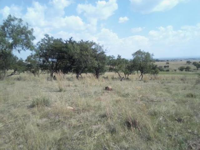 11 ha Land available in Laezonia