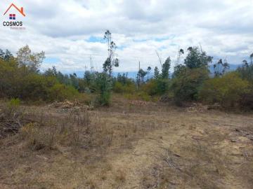 11 hectareas de venta en Urcuqui Tumbabiro Ajumbuela Terreno en Venta en Tumbabiro