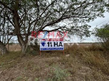 11 HECTÁREAS EN VENTA