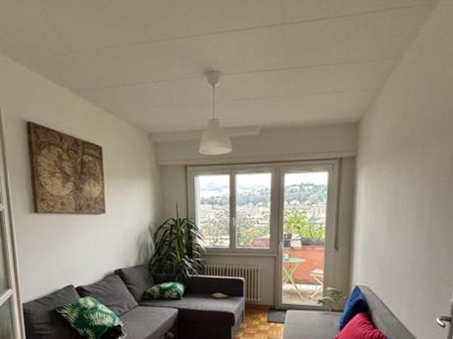 11 m²