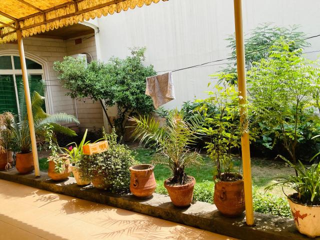 11 Marla house for sale