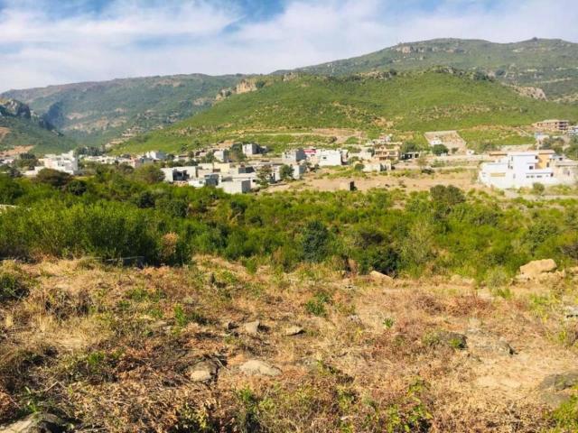 11 Marla Residential Plot For Sale Available In Shah Allah Ditta ISB Islamabad Shah Allah Ditta ID 56065