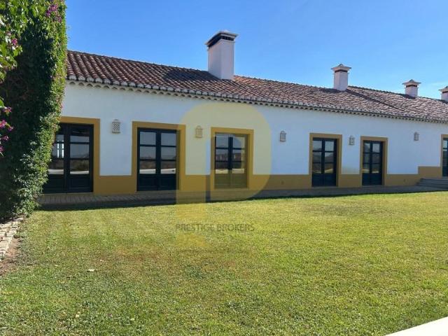 11 quarto, Moura Moura 101009865