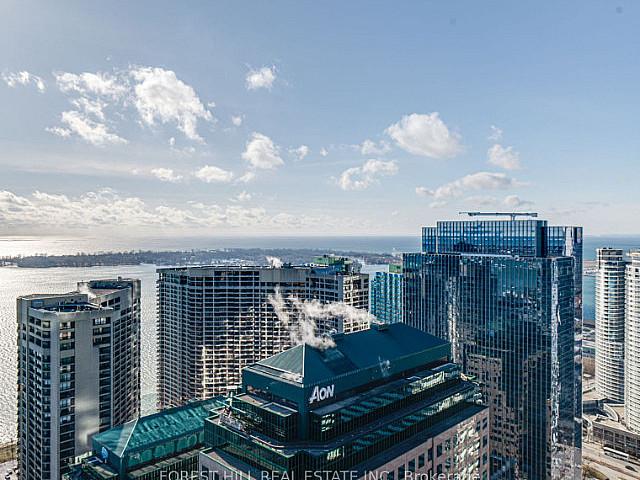 1+1 South facing Unit, Steps To Lakefront