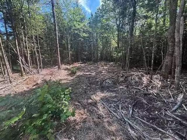 11A Nicholas Drive, Hammonds Plains, NS, B4B 1M9 vacant land.