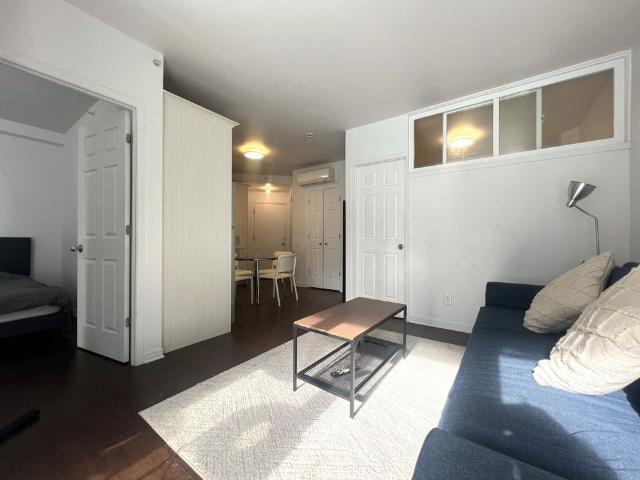 1205 Rue MacKay Montréal Ville Marie, QC H3G
