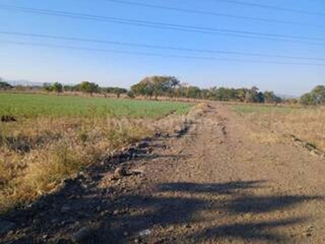 12000 sq ft Agricultural land in Indore khandwa road, Indore | Commercial