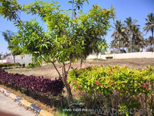 1200 Sq. ft Plot for Sale in Anekal, Bangalore
