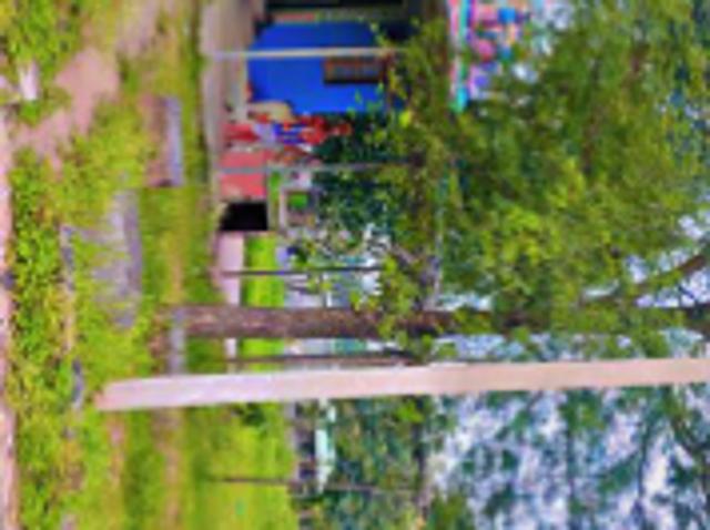 1200 Sq. ft Plot for Sale in Attibele Anekal Road, Bangalore