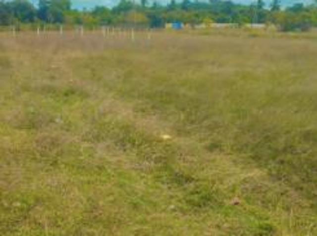 1200 Sq. ft Plot for Sale in Guduvanchery, Chennai