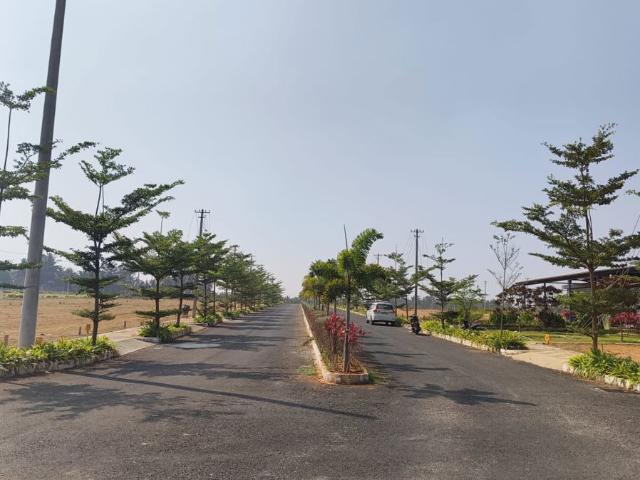1200 Sq.Ft. Plot in Channarayapatna Bangalore Listing ID: #9939