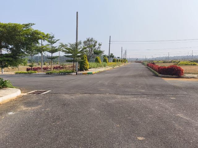 1200 Sq.Ft. Plot in Channarayapatna Hassan Listing ID: #10266