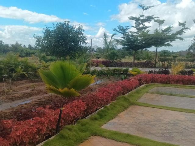 1200 Sq.Ft. Plot in Chikkaballapur Bangalore Listing ID: #10263