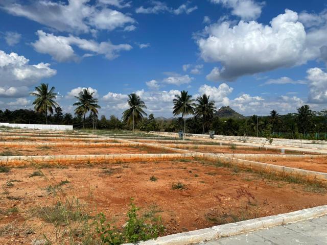 1200 Sq.Ft. Plot in Kolar Bangalore Listing ID: #10182