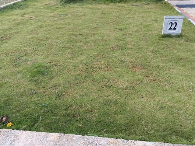 1200 Sq.Ft. Plot in Harohalli Bangalore Listing ID: #10337