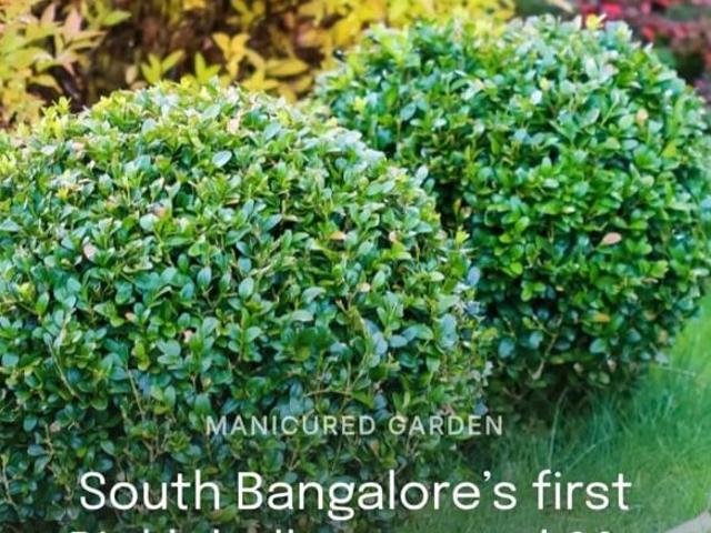 1200 Sq.Ft. Plot in Jigani Bangalore Listing ID: #10069