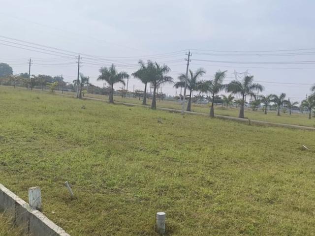 1200 Sq.Ft. Plot in Mysore Road Bangalore Listing ID: #10271