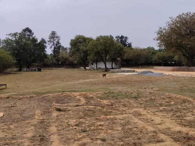 1200 Sq.Yd. Plot in Asola Delhi Listing ID: #10206