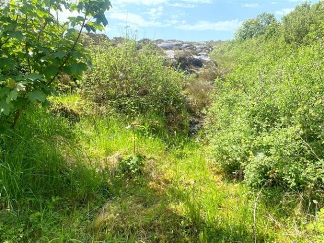 120,000 | Loughanure, Annagry, Co. Donegal Henry Kee & Son 5005 MyHome. Ie Residential