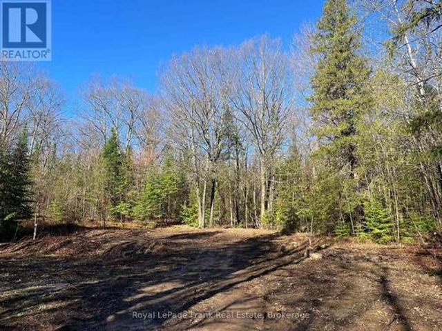120 Norlock Road, Madawaska Valley, ON, K0J 1B0 vacant land for sale | Listing ID X13218 | Royal LePage