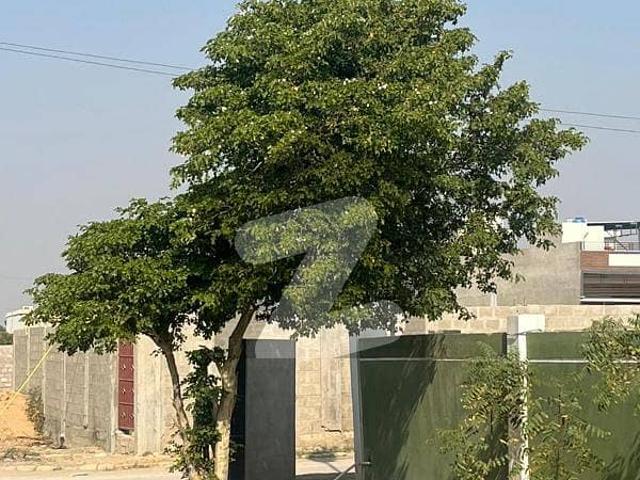 120 Sq Yard Plot For Sale, Transfer, West Open, ViP LOCATION PIDC Society