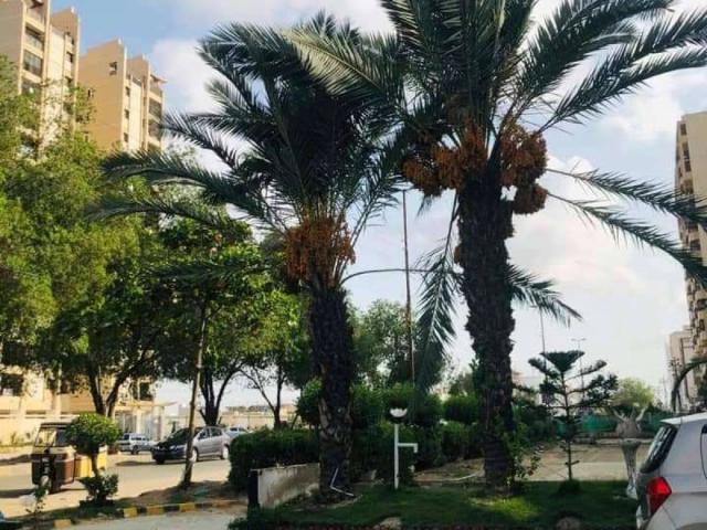 120 yard's independent duplex house karachi gulistan e jauhar block 3 id 16031