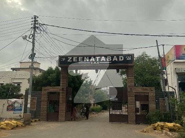 120 yards plot for sale in Zeenatabad Housing society scheme 33 karachi