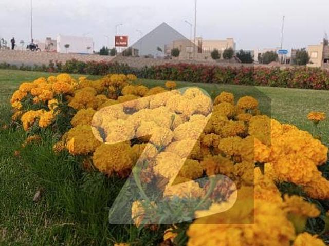120sq feet Road 125sq yd plot in Precinct 15A [Best Option for Investment] for sale at lowest price