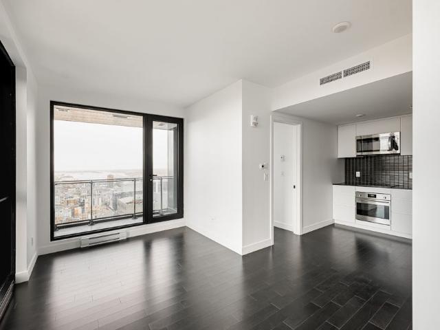 1210 Rue Jeanne Mance, #4824