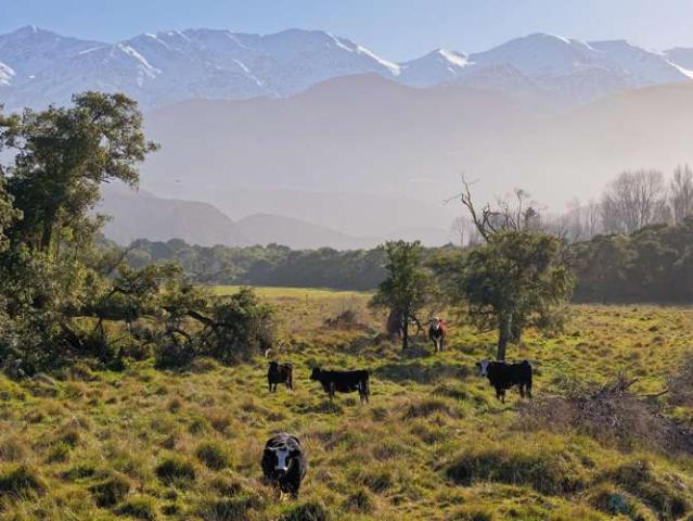 121 Lovers Lane, Kaikoura