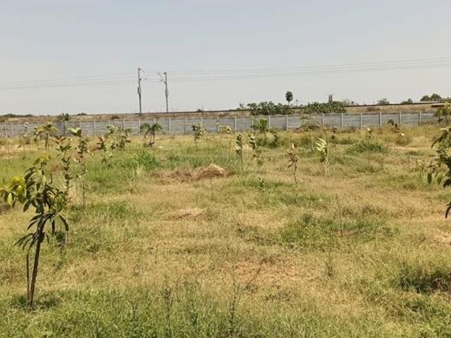 121 Sq.Yd. Plot in Raigiri Hyderabad Listing ID: #10346