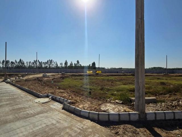 1222 Sq.Ft. Plot in Vadodara Listing ID: #9991