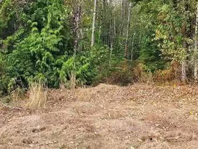 12350 270A Street, Maple Ridge, BC, V2W 1C2 vacant land for.