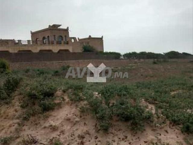 123568 Vente Terrain à Essaouira Des Dunes de 1018