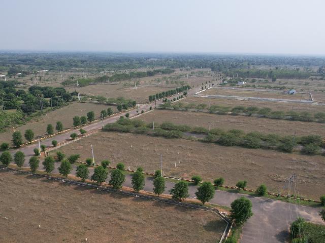 1238 Sq.Yd. Plot in Bhogapuram Vizag Listing ID: #9574