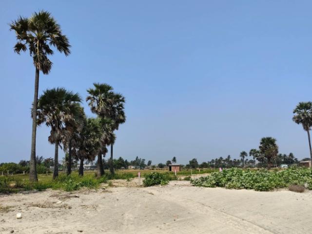 1230 Sq.Ft. Plot in Katara Hills Bhopal Listing ID: #10216