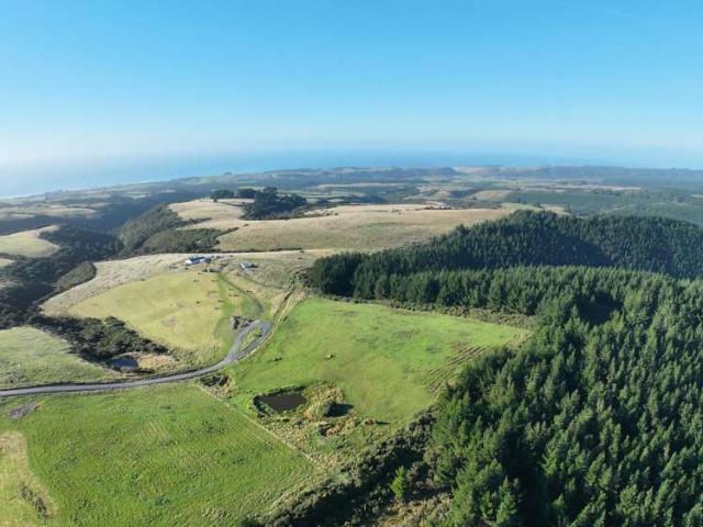 123 Chaplin Road, Taieri Mouth, Clutha