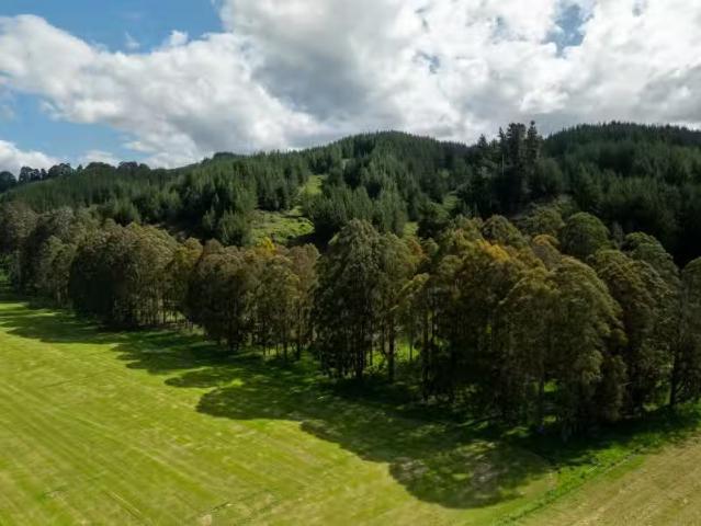 124 Ricketts Road, Tasman, Tasman