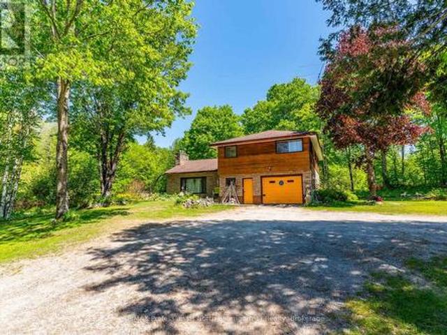 12504 Highway 35, Minden Hills Minden, ON, K0M 2K0 commercial for sale | Listing ID X13467 | Royal LePage