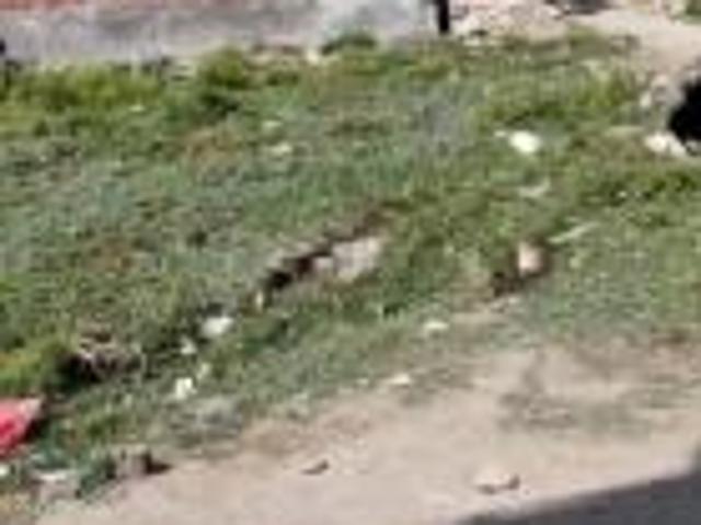 1250 Sq. ft Plot for Sale in Balaganj, Lucknow